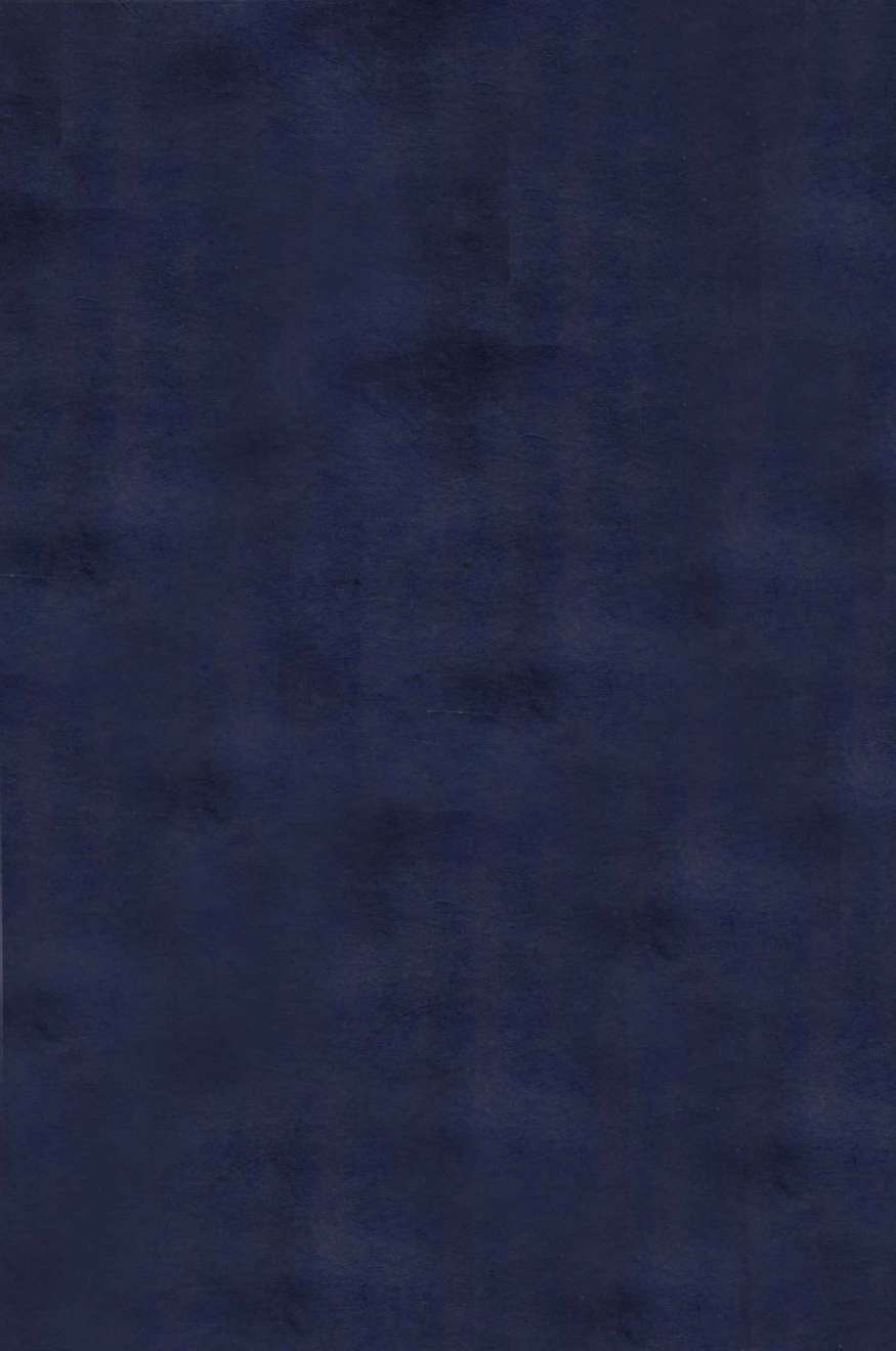万病回春  卷3